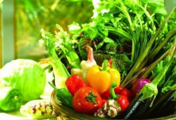 菜棚吃瓜最新事件爆料,揭秘最新事件背后的惊人真相