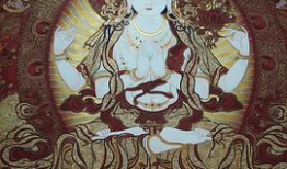 黑瓜吃料网最新爆料,娱乐圈最新猛料大揭秘！