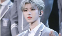 吃瓜爆料白鹿蔡徐坤,娱乐圈的瓜田奇遇记